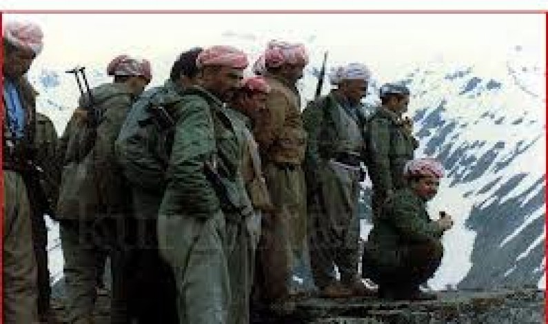 Armare i Curdi si può….anzi si deve!